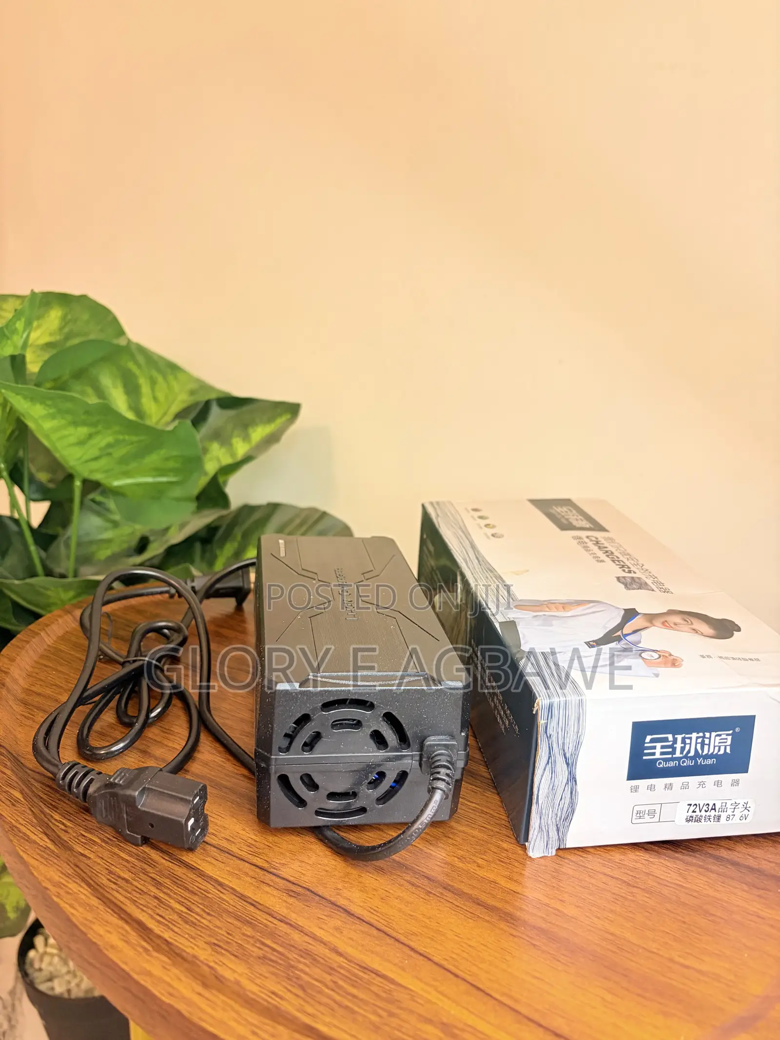 Electric Motorcycle Charger