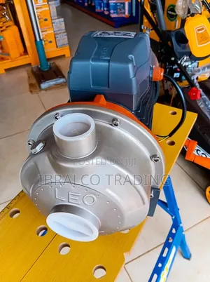 Leo 2hp Water Pump