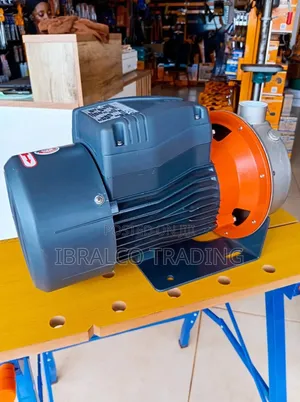 Leo 2hp Water Pump