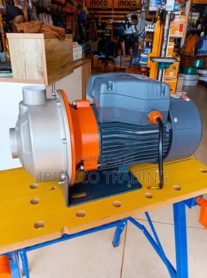 Leo 2hp Water Pump