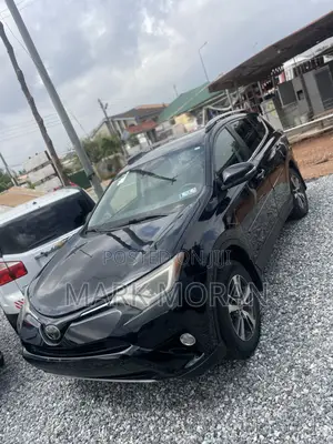 Toyota RAV4 XLE 4dr SUV AWD (2.5L 4cyl 6A) 2018 Black