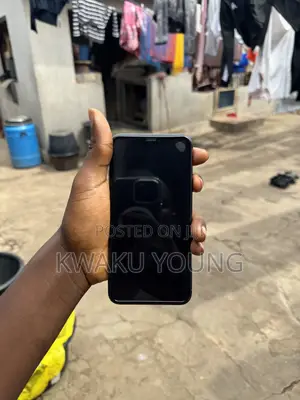 Apple iPhone 11 Pro Max 256 GB Gray