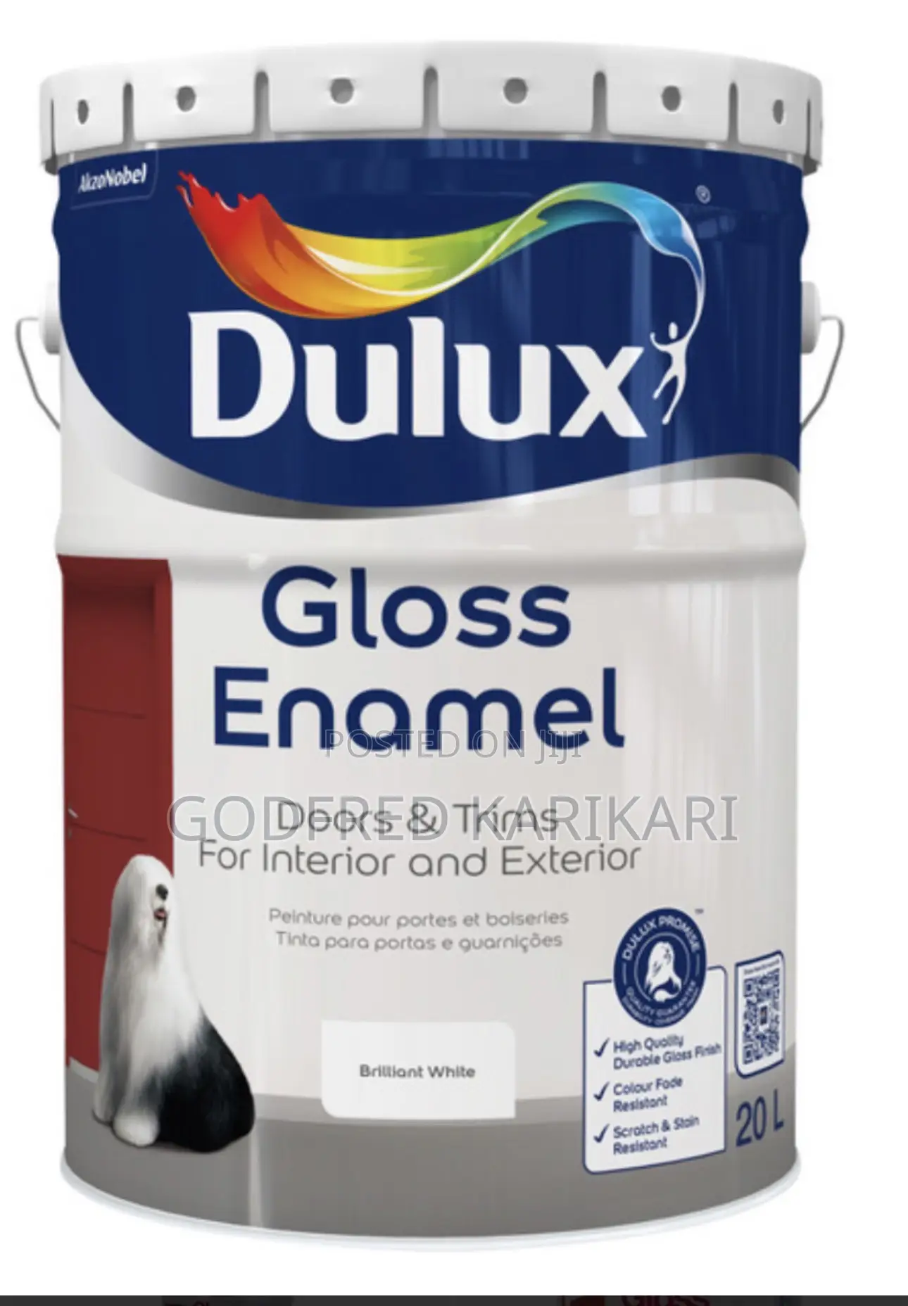 Brilliant White Paint