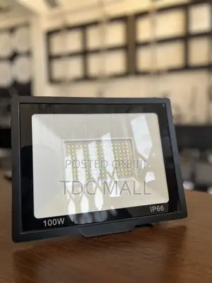 Flood Light - 100w