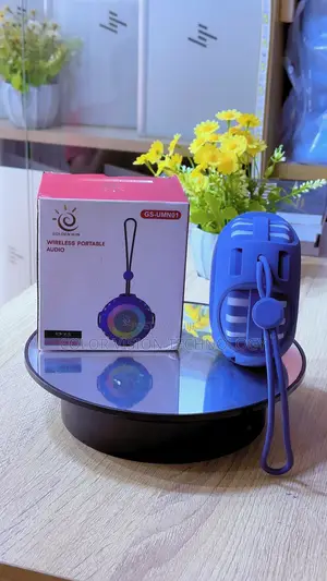 Portable Wireless Speakers