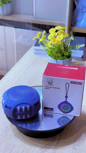 Portable Wireless Speakers