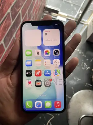 Apple iPhone 12 Pro 256 GB Gray