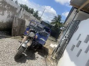 Tricycle 2025 Blue