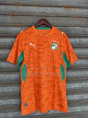 Ivory Coast 2026 World Cup Jersey Cote D’Ivoire World Cup Home Jersey