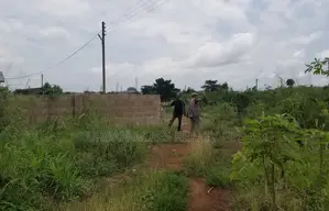 _Gt/Accra, Afienya (Jerusalem) _ Half Plot (40ft X100ft) Land