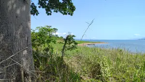 Volta Region, Tongor (Kaira) _ 6 Plots Riverfront Land