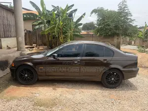 BMW 3 Series 318i RWD 2001 Brown
