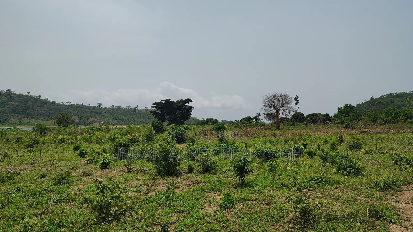 Volta Region, Tongor (Kaira) _ 4.88 Acres Irrigable Farmland