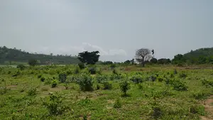 Volta Region, Tongor (Kaira) _ 4.88 Acres Irrigable Farmland