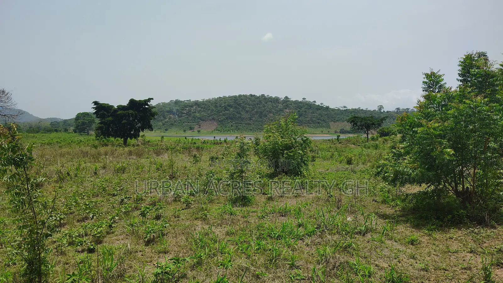 Volta Region, Tongor (Kaira) _ 4.88 Acres Irrigable Farmland