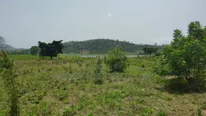 Volta Region, Tongor (Kaira) _ 4.88 Acres Irrigable Farmland