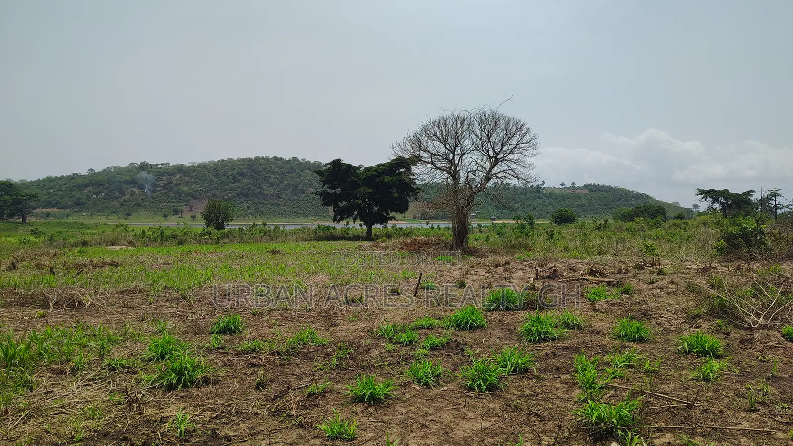 Volta Region, Tongor (Kaira) _ 4.88 Acres Irrigable Farmland