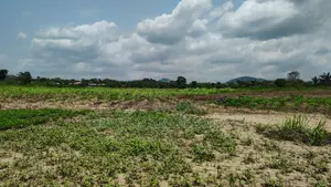 Volta Region, Tongor (Kaira) _ 4.88 Acres Irrigable Farmland