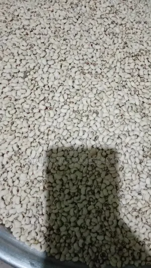 Beans Project
