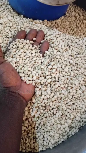 Beans Project
