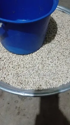Beans Project