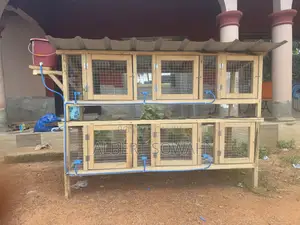 6 Rooms Modern Rabbit Ang Grasscutter Cage