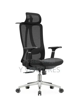 Ergonomic Chair