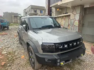 Jetour T2 2.0 Petrol AWD 2023 Gray