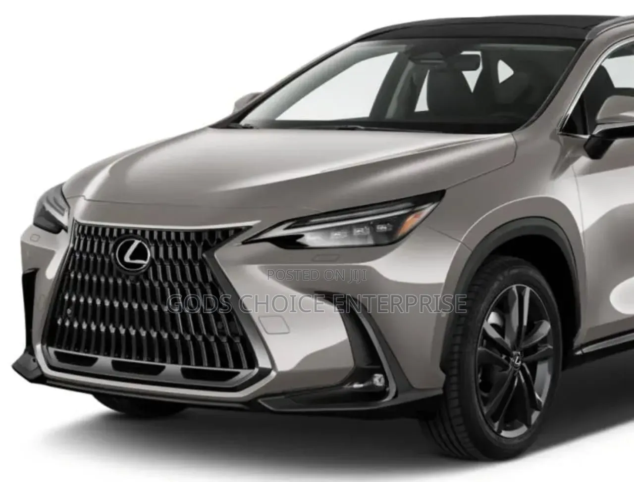 Front Grill Complete Lexus Nx 2023,2024,2025