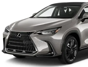 Front Grill Complete Lexus Nx 2023,2024,2025