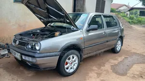 Volkswagen Golf 1999 Gray