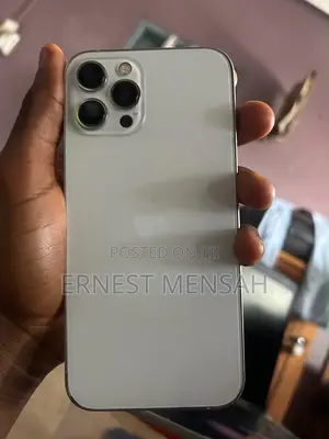 Apple iPhone 12 Pro Max 128 GB Silver
