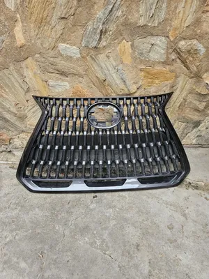Lexus Nx300 2021-2025 Front Grille Available