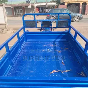 New Tricycle 2025 Blue