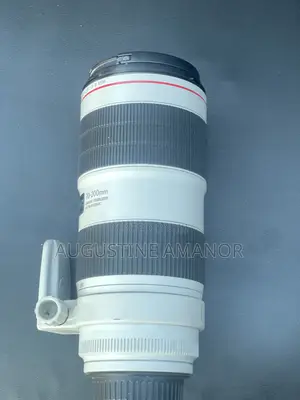 Canon Zoom Lens Ef 70-200mm. 1:2.8l Is Ill Usm