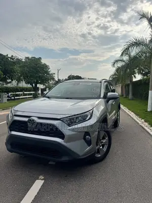 Toyota RAV4 XLE AWD 2019 Gray