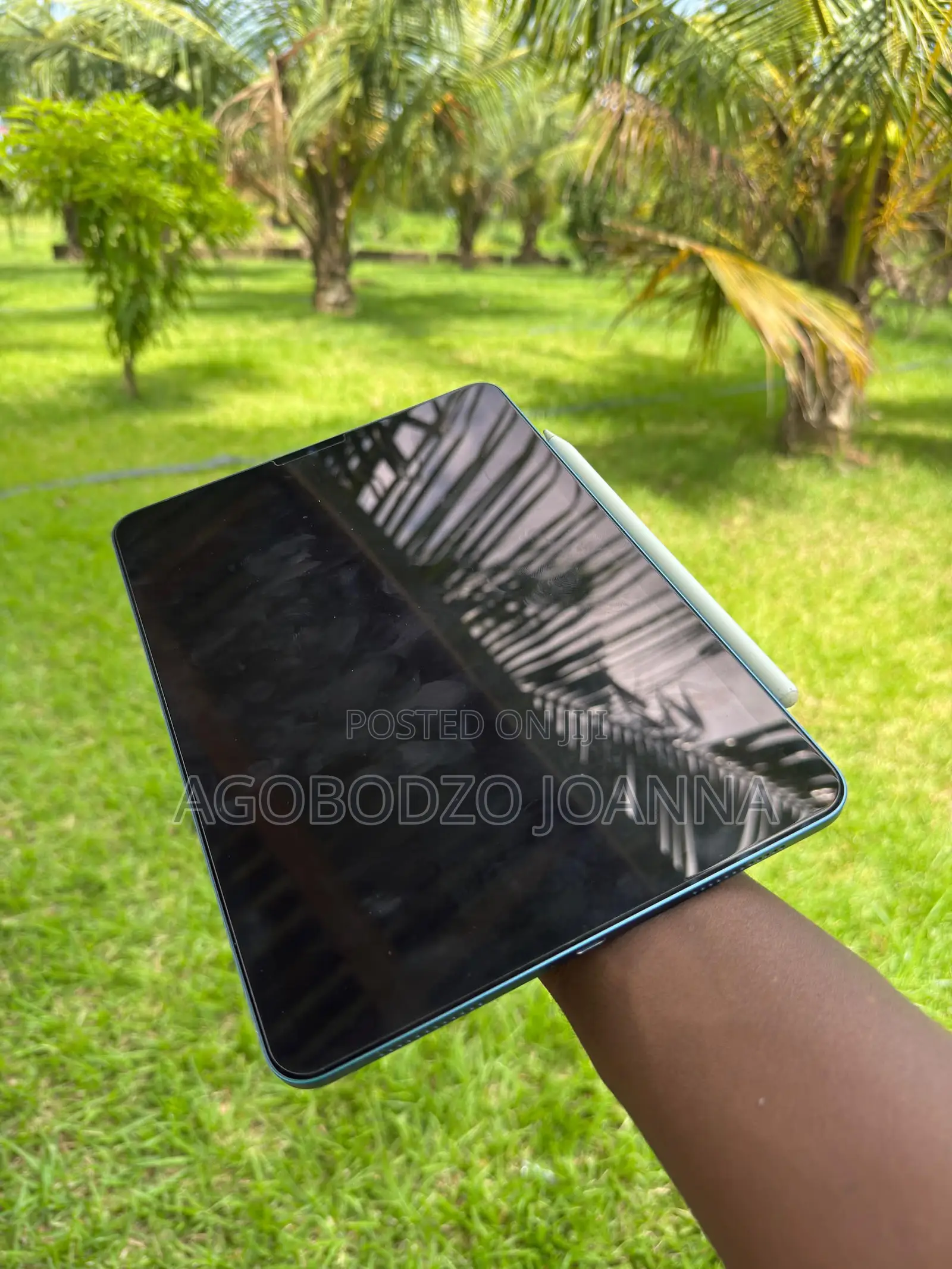 Apple iPad Air 256 GB Blue
