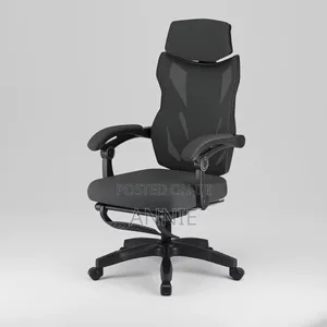 Ergonomic Chairs