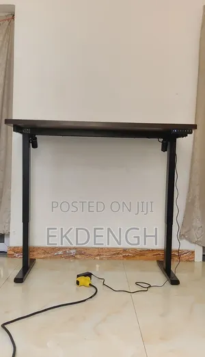 Dual-Motor Electric Height Adjustable Desk | 120cm × 70cm