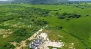 Beach Land