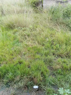 2 Plots of Land at Dodowa