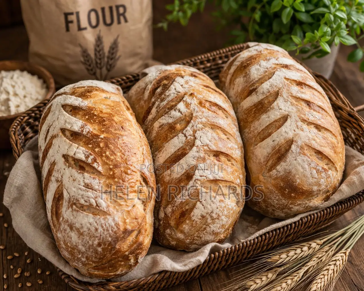 Sourdough Bread