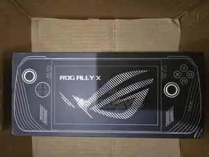 Asus Rog Ally X