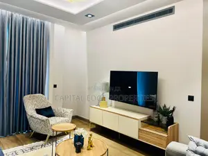 Furnished 1bdrm Apartment in Cantonments for rent