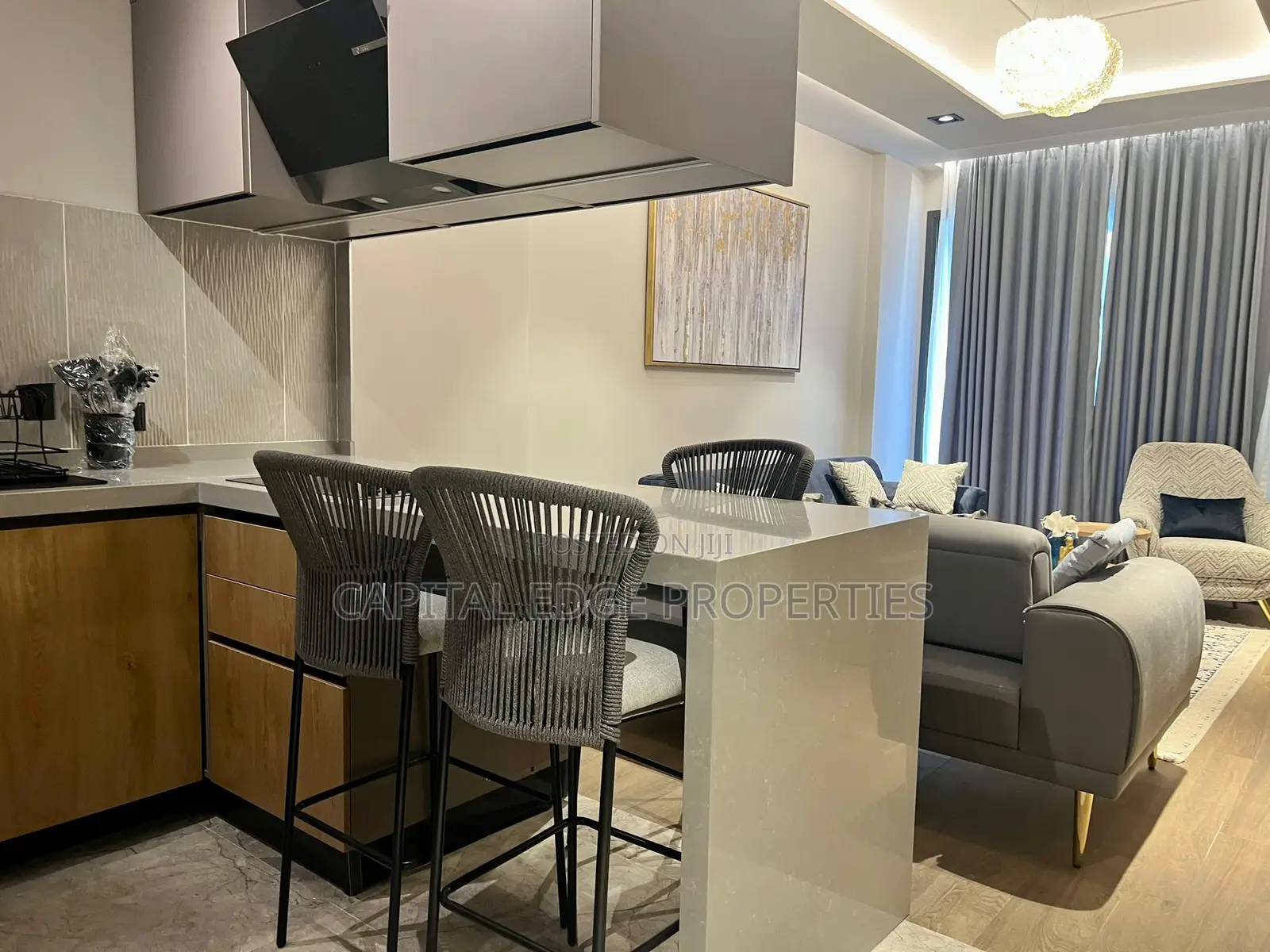 Furnished 1bdrm Apartment in Cantonments for rent