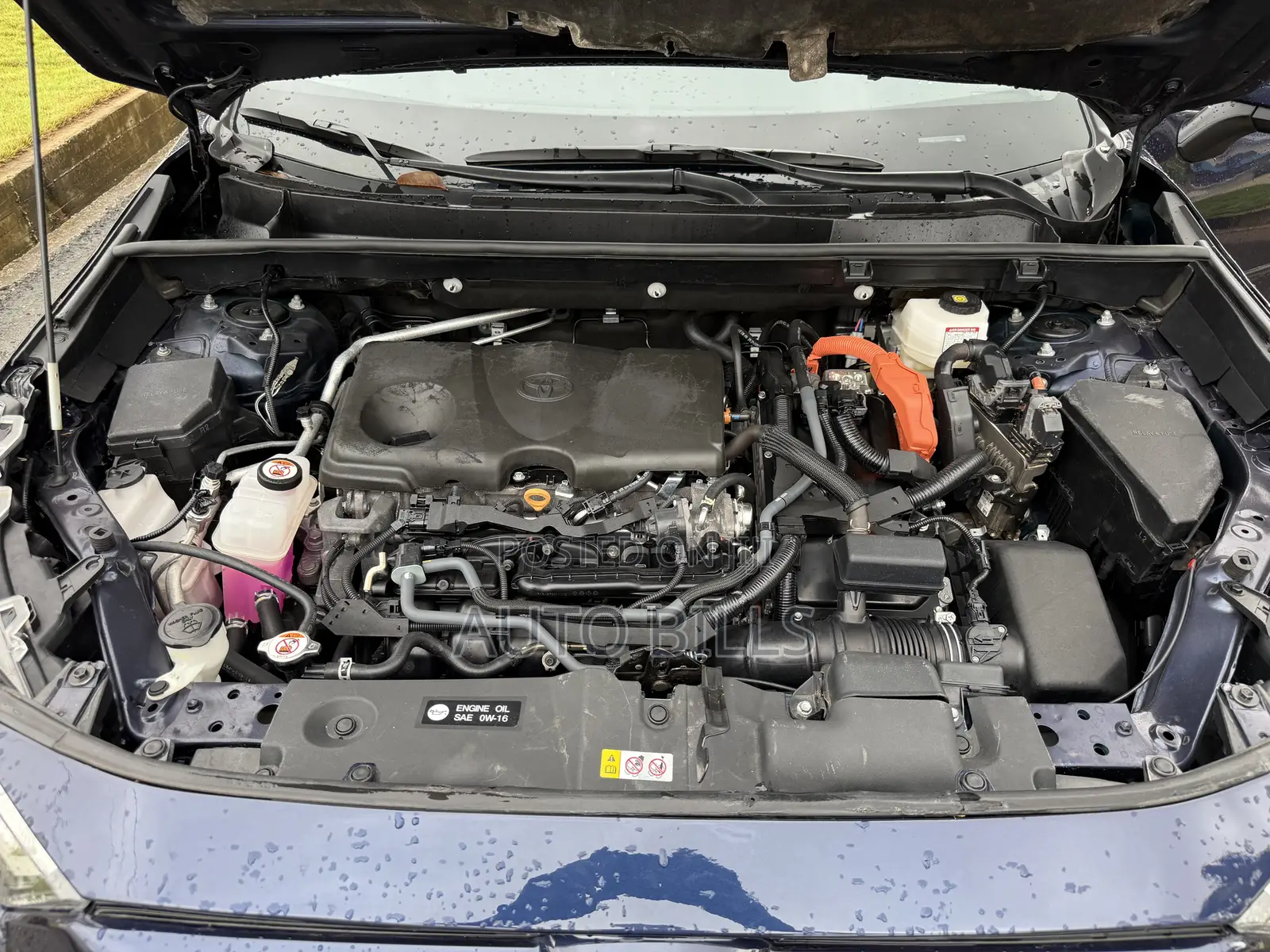 Toyota RAV4 XLE 2025 Blue