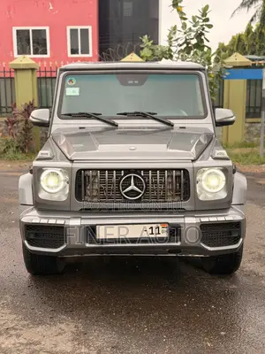 Mercedes-Benz G-Class 2011 Silver