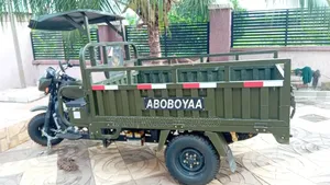 Tricycle 2025 Green