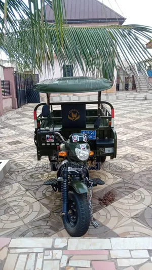 Tricycle 2025 Green