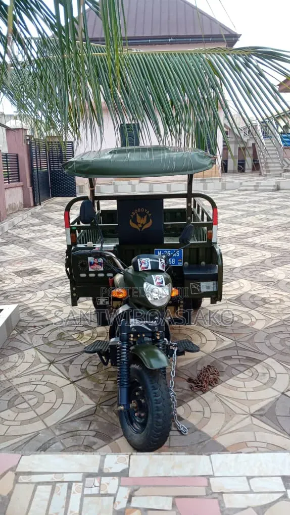 Tricycle 2025 Green